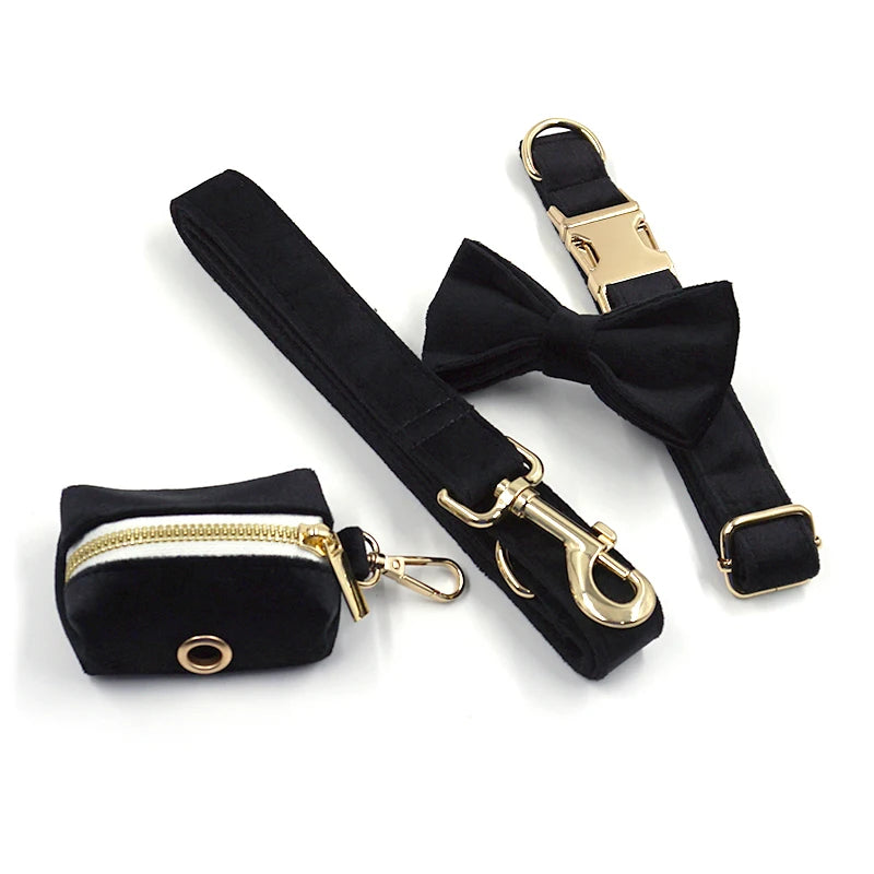 Set Luxe en Velours Noir – Harnais, Collier & Laisse avec boucle Dorée.