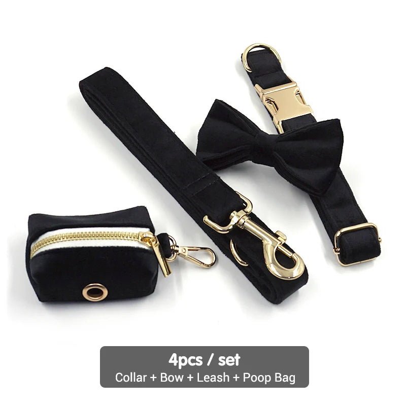 Set Luxe en Velours Noir – Harnais, Collier & Laisse avec boucle Dorée.