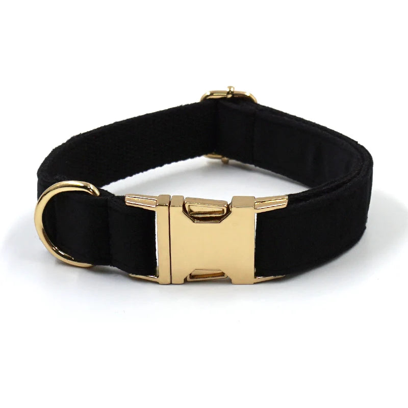 Set Luxe en Velours Noir – Harnais, Collier & Laisse avec boucle Dorée.
