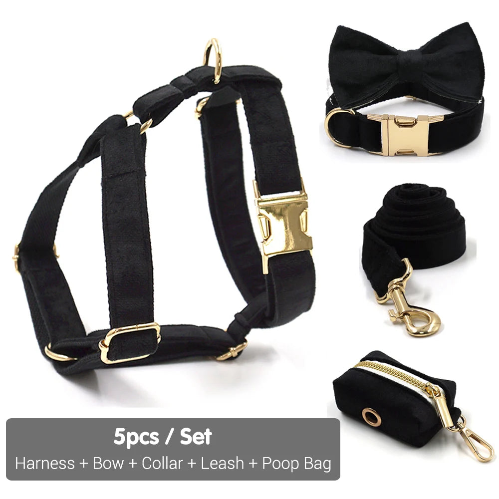 Set Luxe en Velours Noir – Harnais, Collier & Laisse avec boucle Dorée.