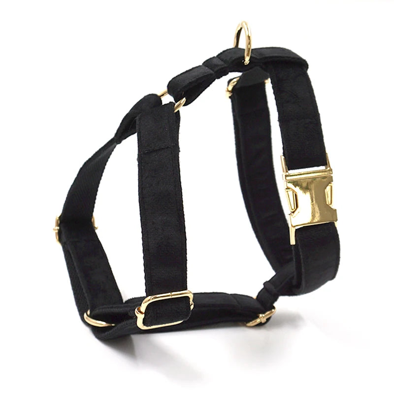 Set Luxe en Velours Noir – Harnais, Collier & Laisse avec boucle Dorée.