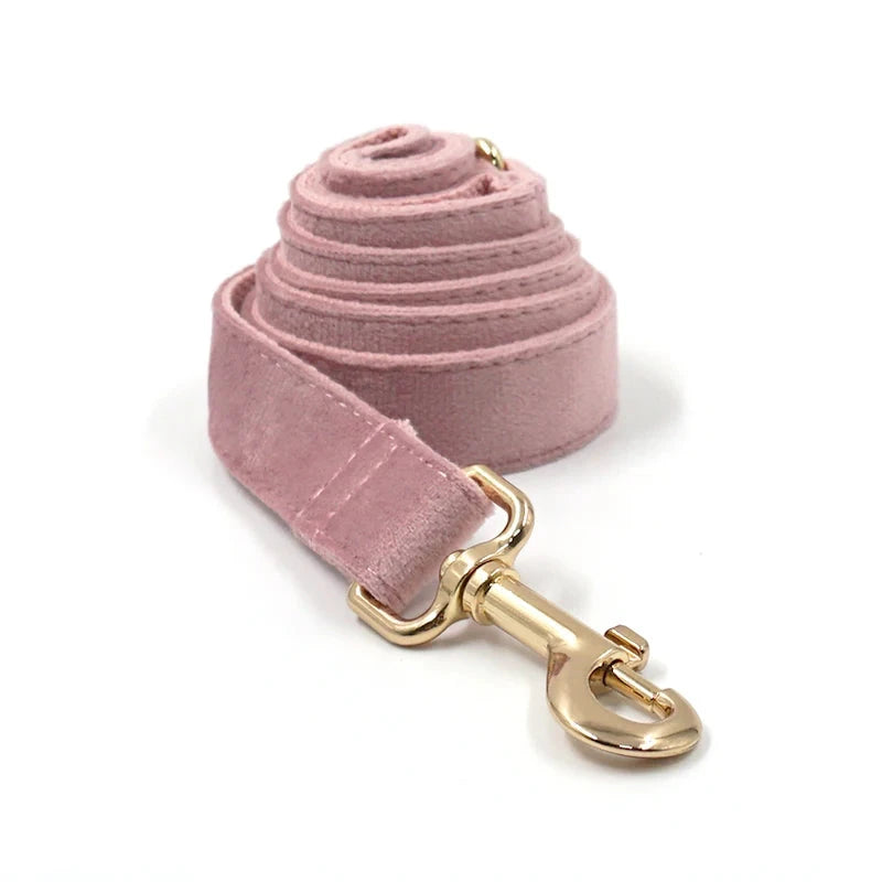 Set en Velours Rose Poudré – Harnais, Collier & Laisse avec boucle Dorée | SANEO Pets SANEO Pets