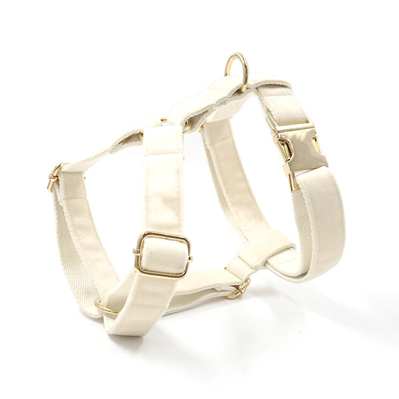 Set Luxe en Velours Crème – Harnais, Collier & Laisse avec boucle Dorée.
