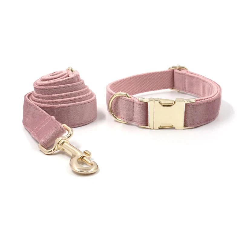 Set en Velours Rose Poudré – Harnais, Collier & Laisse avec boucle Dorée | SANEO Pets SANEO Pets