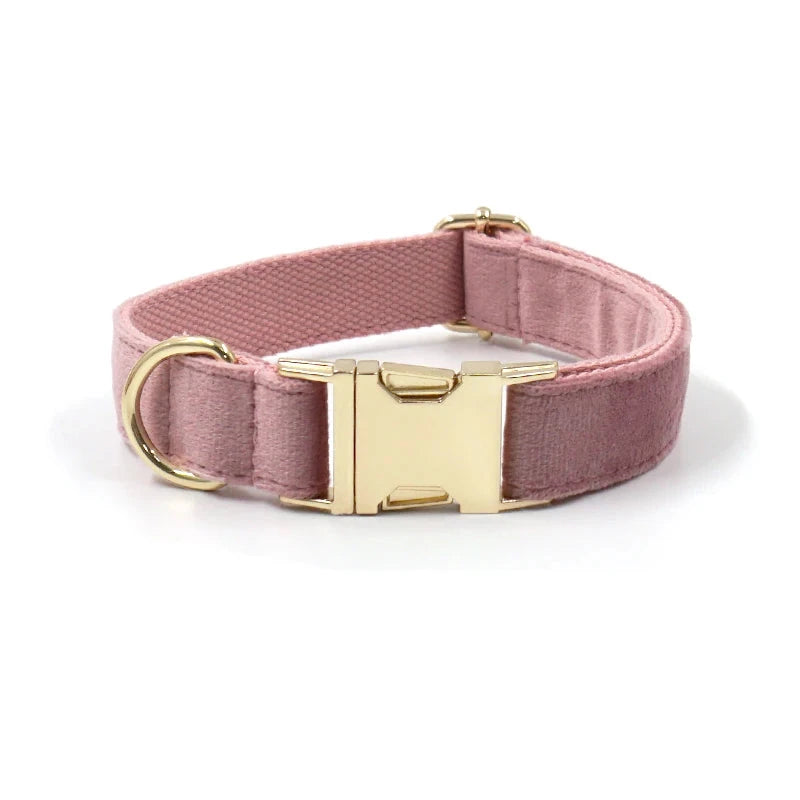 Set en Velours Rose Poudré – Harnais, Collier & Laisse avec boucle Dorée | SANEO Pets SANEO Pets