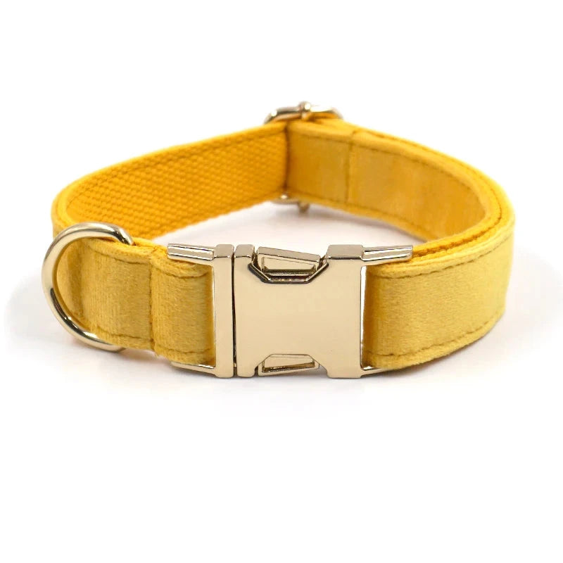 Set en Velours Jaune – Harnais, Collier & Laisse avec boucle Dorée | SANEO Pets SANEO Pets