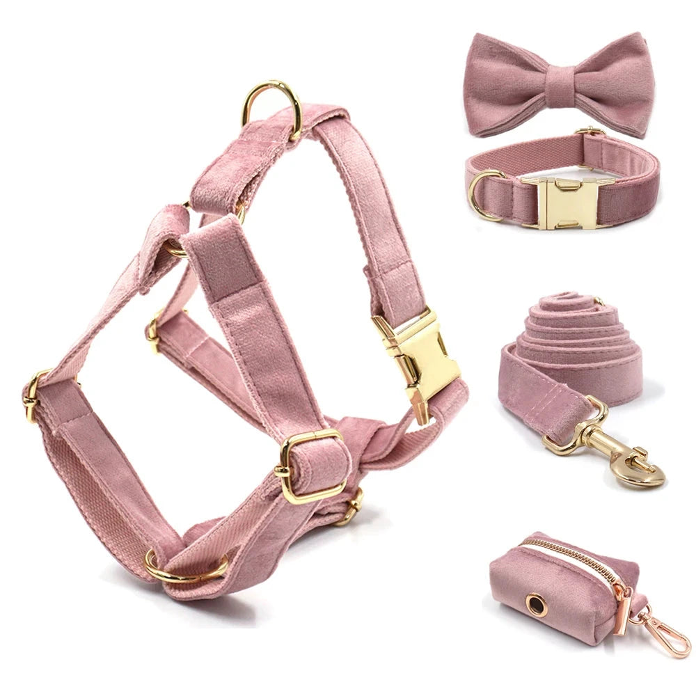 Set en Velours Rose Poudré – Harnais, Collier & Laisse avec boucle Dorée | SANEO Pets SANEO Pets
