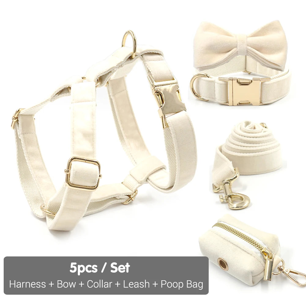 Set Luxe en Velours Crème – Harnais, Collier & Laisse avec boucle Dorée.