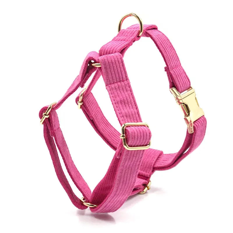 Set en Velours Rose – Harnais, Collier & Laisse avec boucle Dorée | SANEO Pets SANEO Pets