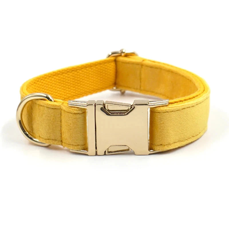 Set en Velours Jaune – Harnais, Collier & Laisse avec boucle Dorée | SANEO Pets SANEO Pets