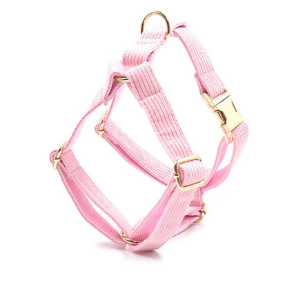 Set Luxe en Velours Rose – Harnais, Collier & Laisse avec boucle Dorée.