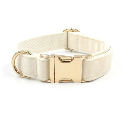 Set Luxe en Velours Crème – Harnais, Collier & Laisse avec boucle Dorée.