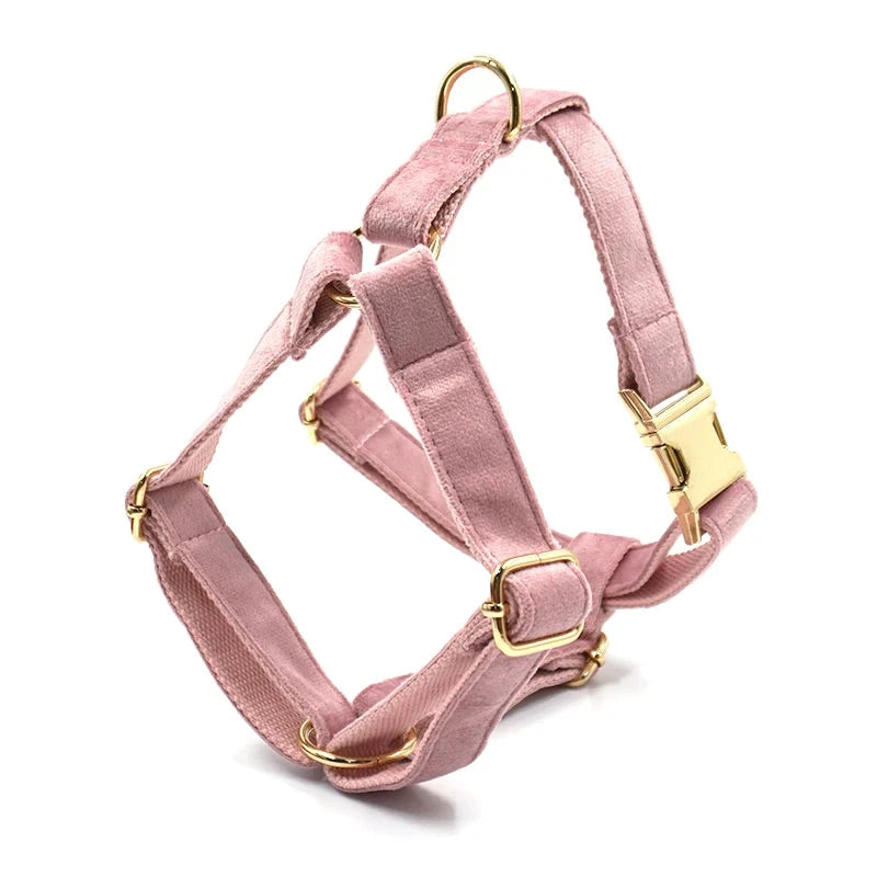 Set en Velours Rose Poudré – Harnais, Collier & Laisse avec boucle Dorée | SANEO Pets SANEO Pets