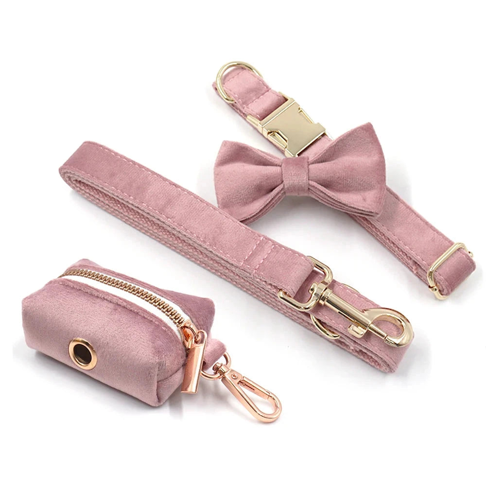 Set en Velours Rose Poudré – Harnais, Collier & Laisse avec boucle Dorée | SANEO Pets SANEO Pets