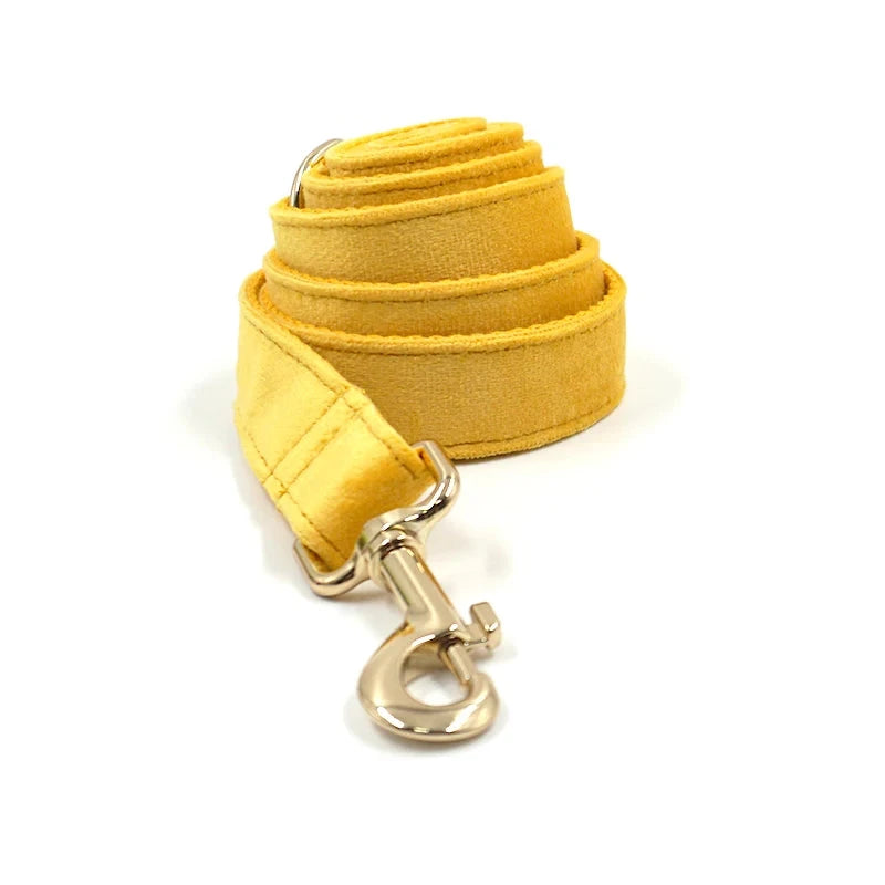 Set en Velours Jaune – Harnais, Collier & Laisse avec boucle Dorée | SANEO Pets SANEO Pets