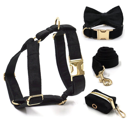 Set Luxe en Velours Noir – Harnais, Collier & Laisse avec boucle Dorée.