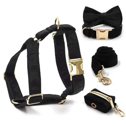 Set Luxe en Velours Noir – Harnais, Collier & Laisse avec boucle Dorée.