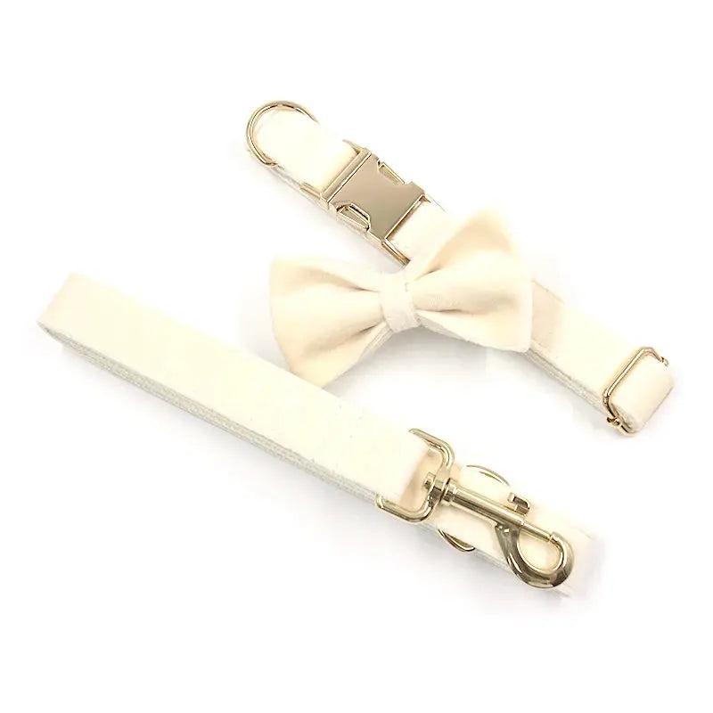 Set en Velours Crème  – Harnais, Collier & Laisse avec boucle Dorée | SANEO Pets SANEO Pets