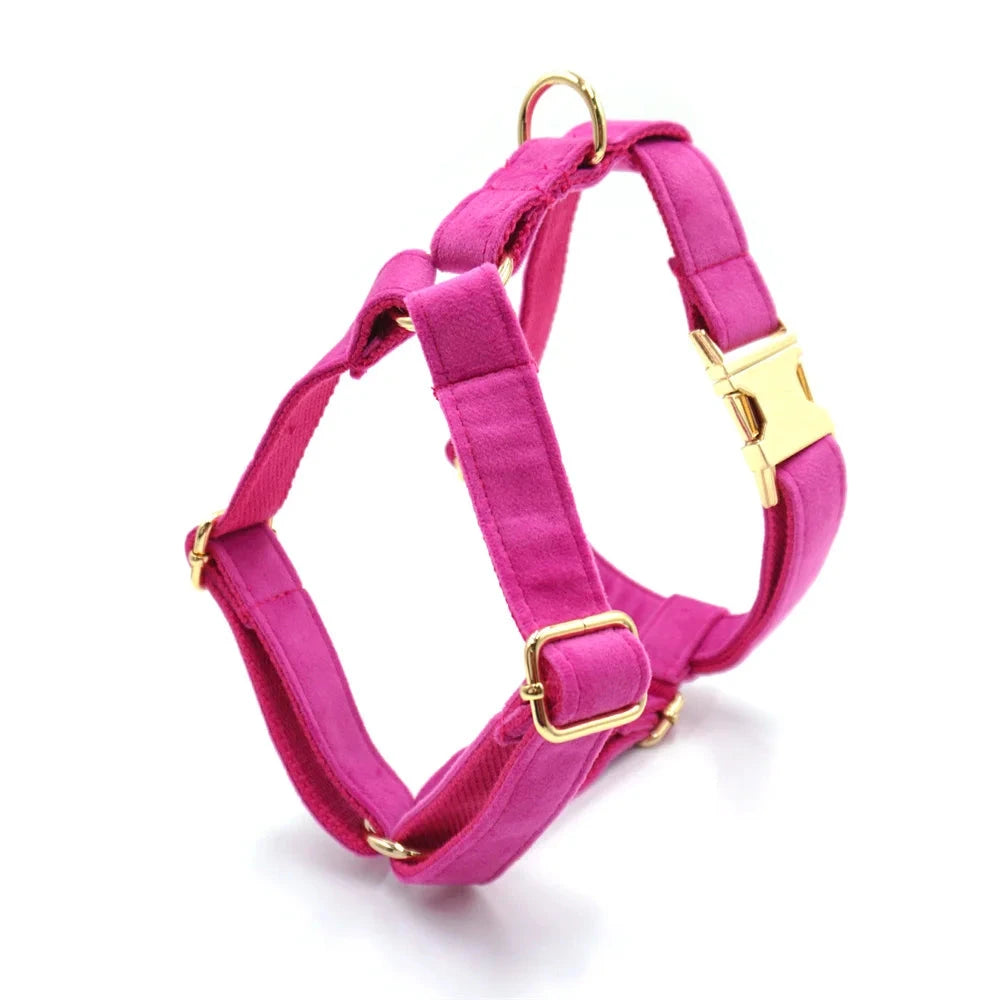 Set en Velours Rose Barbie – Harnais, Collier & Laisse avec boucle Dorée | SANEO Pets SANEO Pets