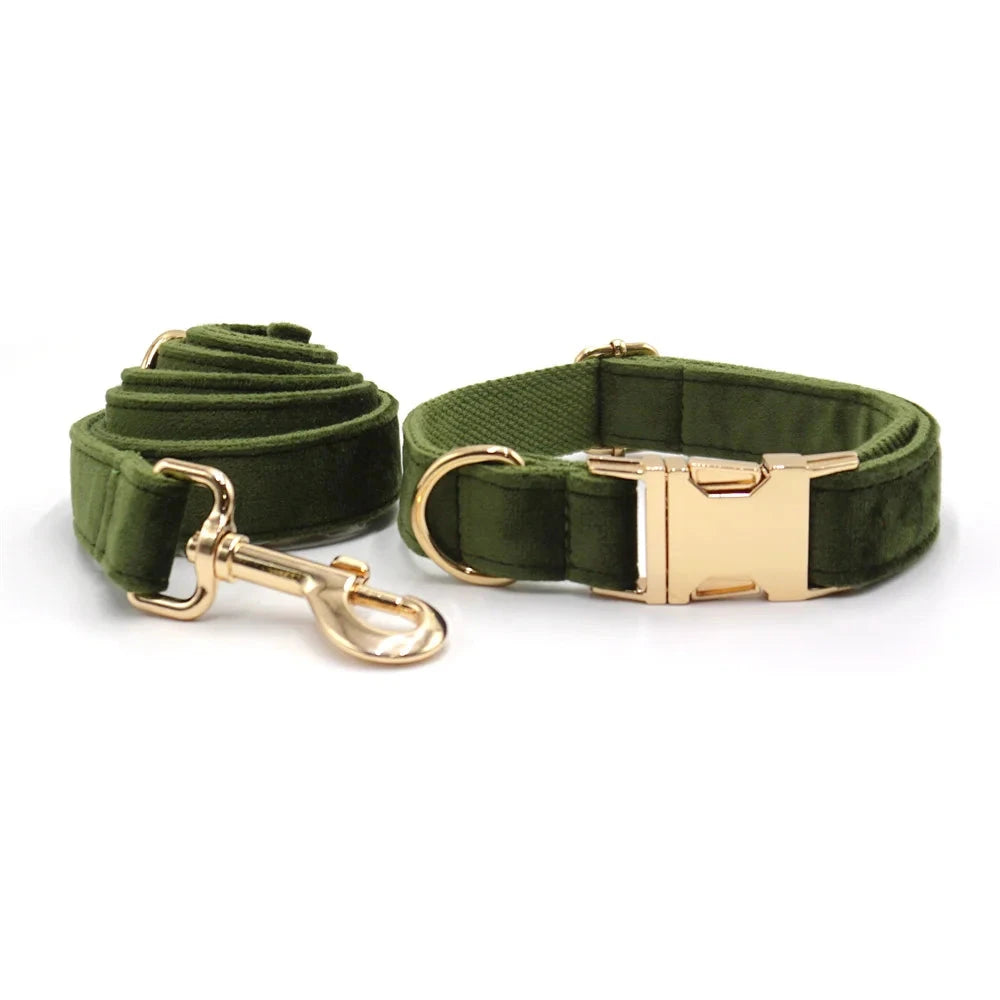 Set en Velours Vert Olive – Harnais, Collier & Laisse avec boucle Dorée | SANEO Pets SANEO Pets