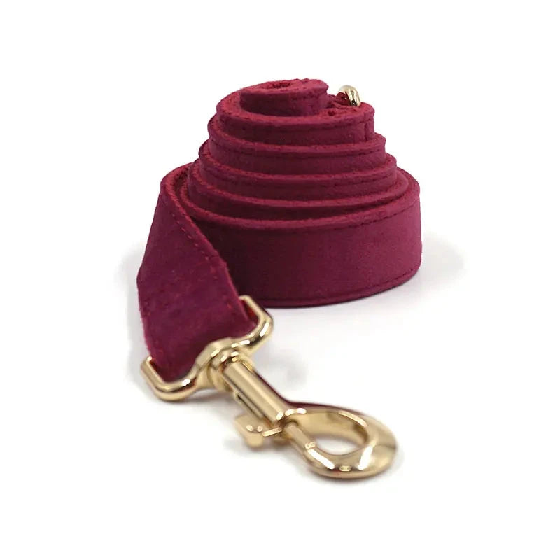 Set en Velours Rose Fushia – Harnais, Collier & Laisse avec boucle Dorée | SANEO Pets SANEO Pets