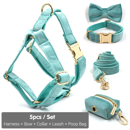 Set Luxe en Velours Tiffany Blue – Harnais, Collier & Laisse avec boucle Dorée.