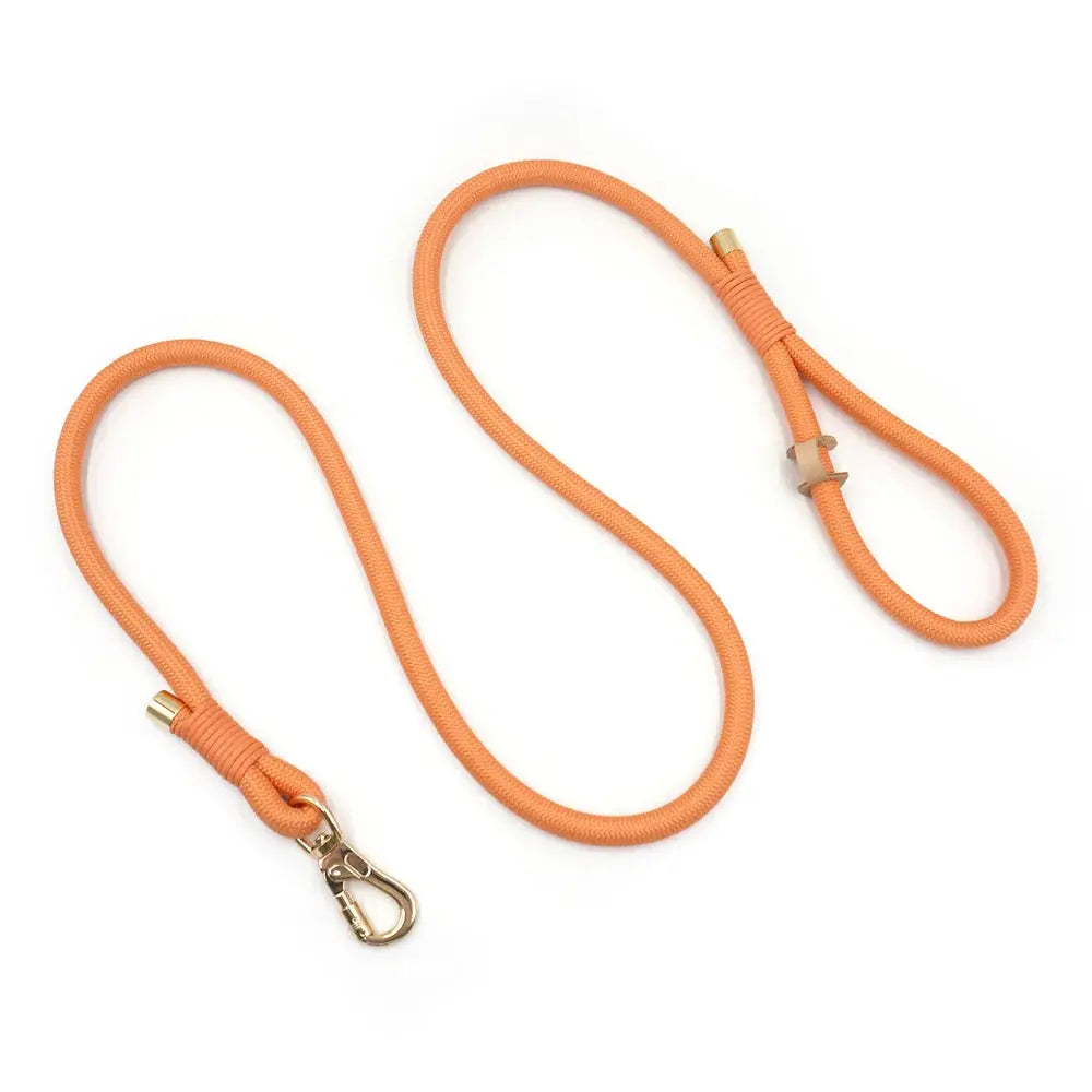 Set en Velours Orange – Collier & Laisse avec boucle Dorée | SANEO Pets SANEO Pets