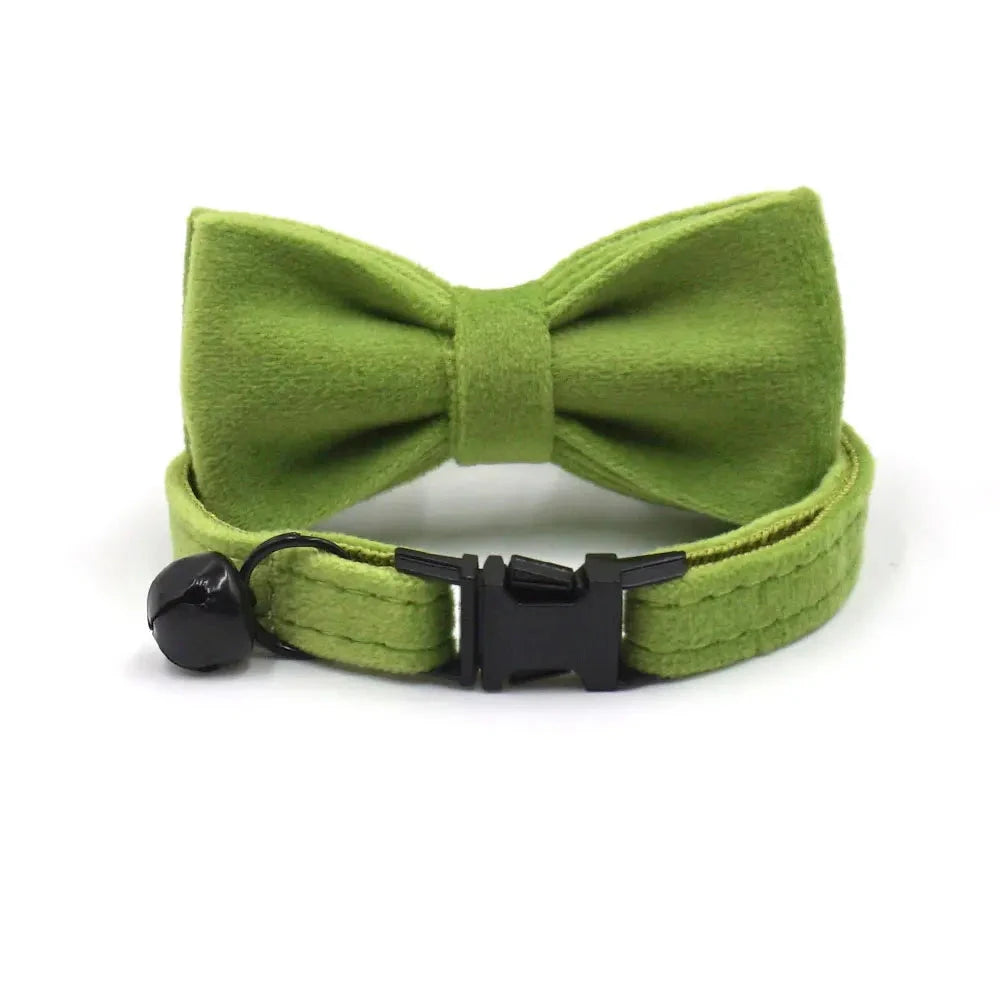Collier en Velours Vert pour Chat – Élégance, Confort | SANEO Pets SANEO Pets