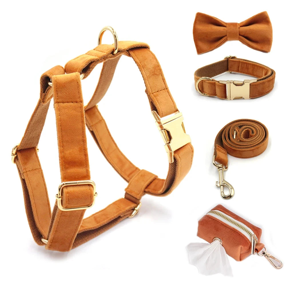 Set en Velours Bronze – Harnais, Collier & Laisse avec boucle Dorée | SANEO Pets SANEO Pets