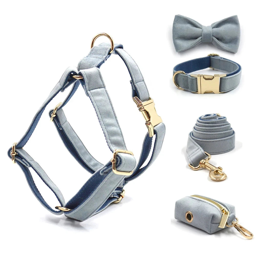 Set en Velours Bleu Poudré – Harnais, Collier & Laisse avec boucle Dorée | SANEO Pets SANEO Pets