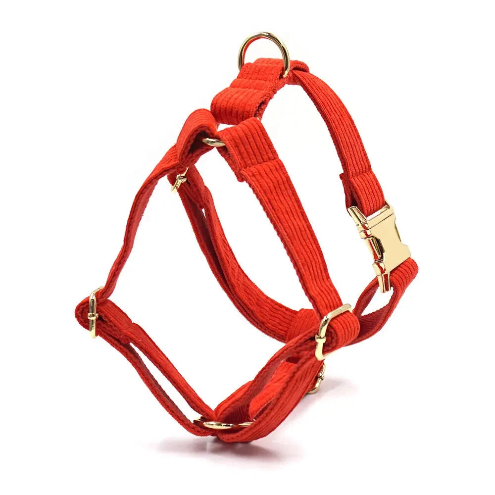 Set en Velours Rouge – Harnais, Collier & Laisse avec boucle Dorée | SANEO Pets SANEO Pets