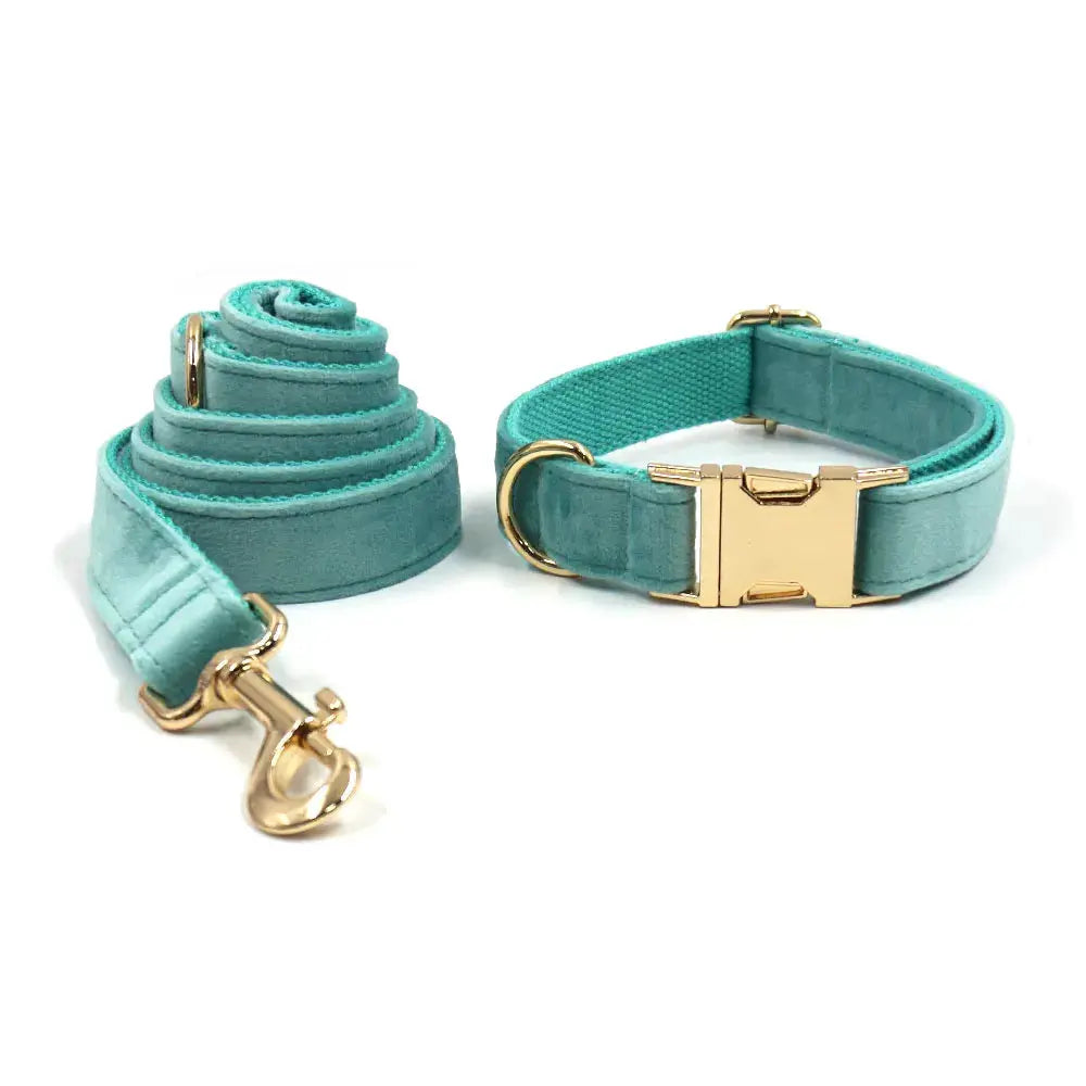 Set en Velours Tiffany Blue – Harnais, Collier & Laisse avec boucle Dorée | SANEO Pets SANEO Pets