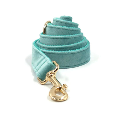 Set Luxe en Velours Tiffany Blue – Harnais, Collier & Laisse avec boucle Dorée.