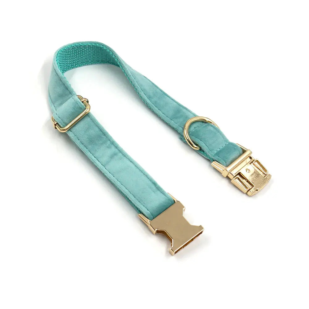 Set Luxe en Velours Tiffany Blue – Harnais, Collier & Laisse avec boucle Dorée.