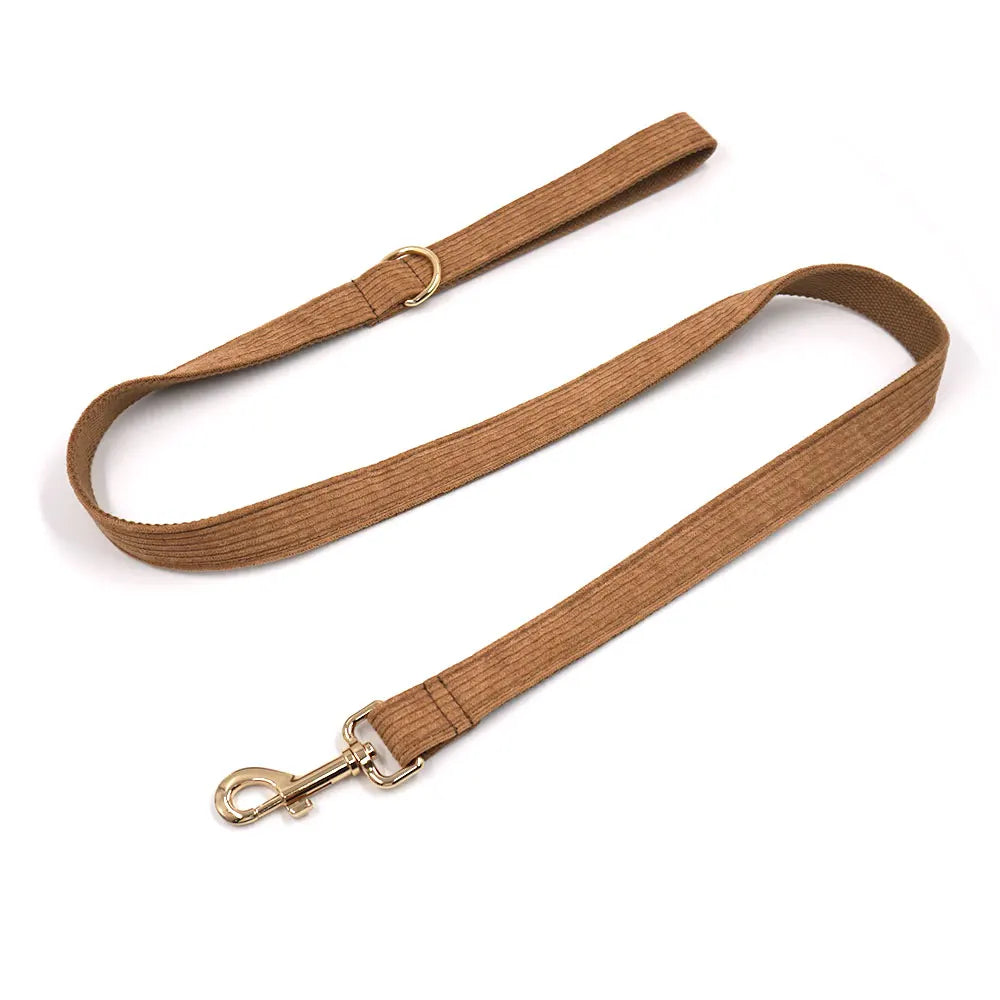 Set Luxe en Velours Marron – Harnais, Collier & Laisse avec boucle Dorée.