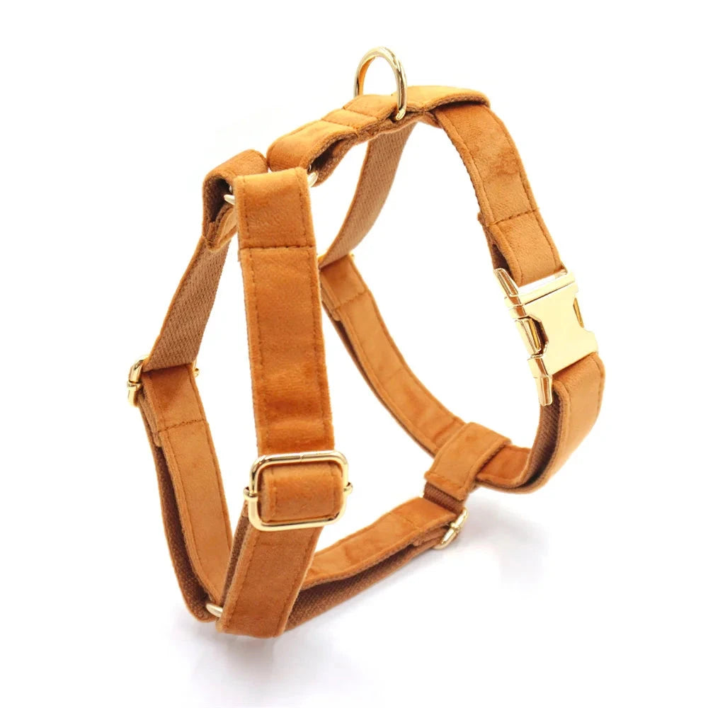 Set en Velours Bronze – Harnais, Collier & Laisse avec boucle Dorée | SANEO Pets SANEO Pets