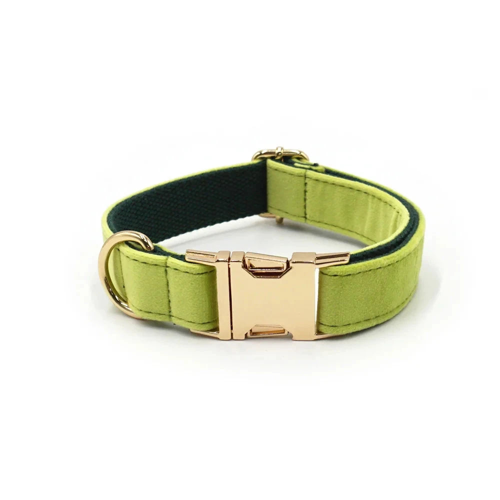 Set en Velours Vert Avocat – Harnais, Collier & Laisse avec boucle Dorée | SANEO Pets SANEO Pets