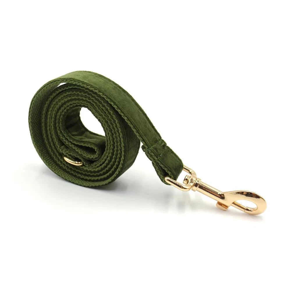 Set en Velours Vert Olive – Harnais, Collier & Laisse avec boucle Dorée | SANEO Pets SANEO Pets