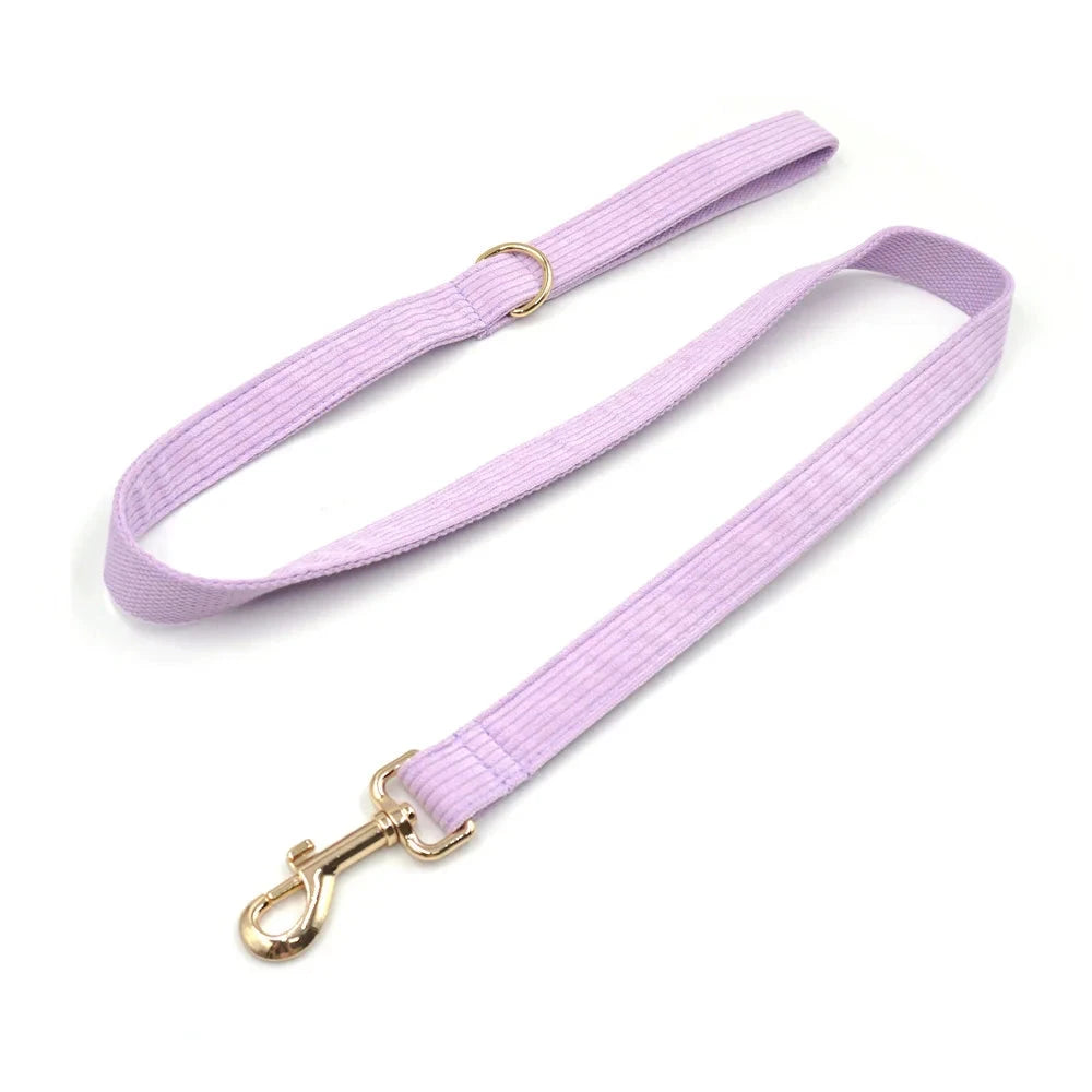 Set en Velours Violet – Harnais, Collier & Laisse avec boucle Dorée | SANEO Pets SANEO Pets