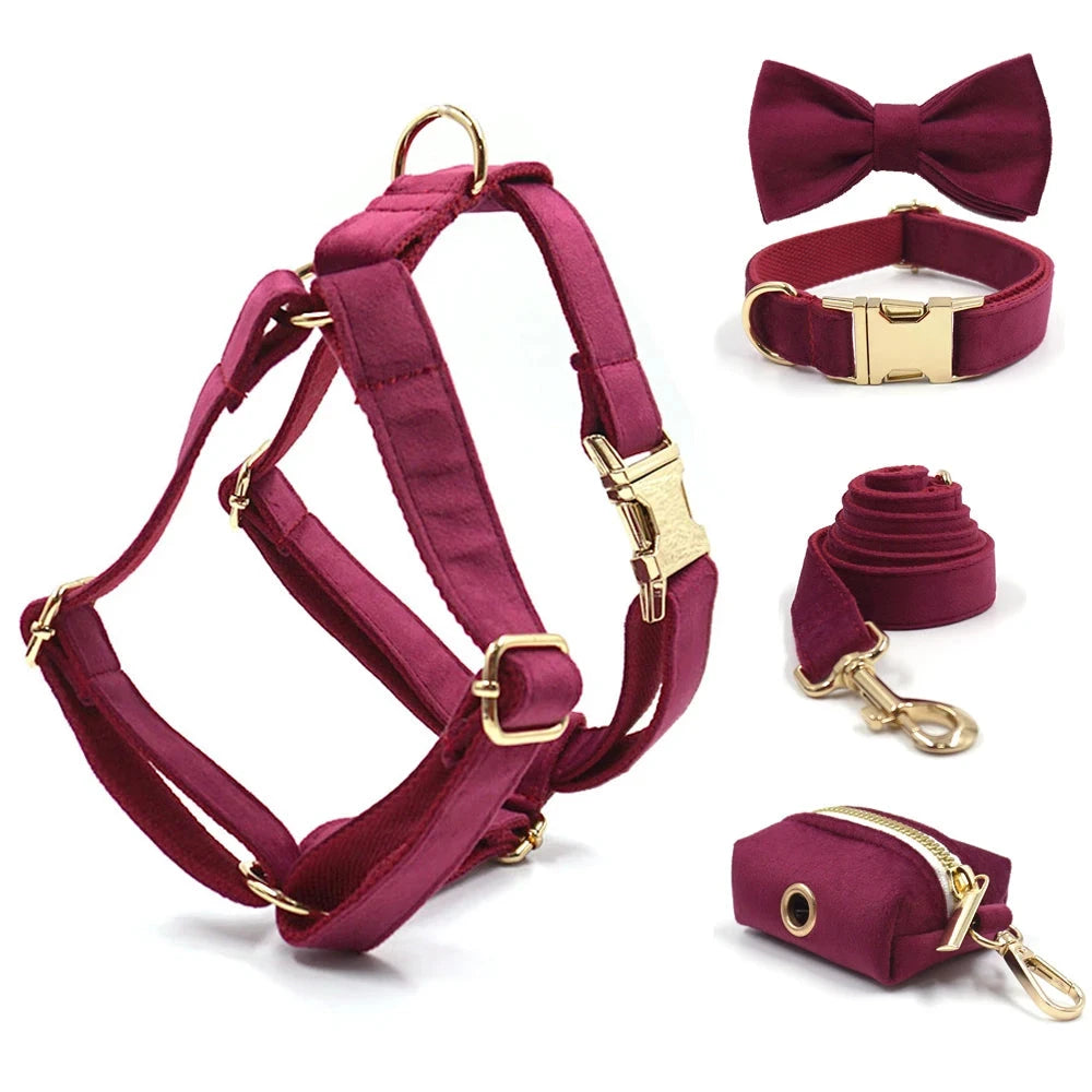 Set en Velours Rose Fushia – Harnais, Collier & Laisse avec boucle Dorée | SANEO Pets SANEO Pets