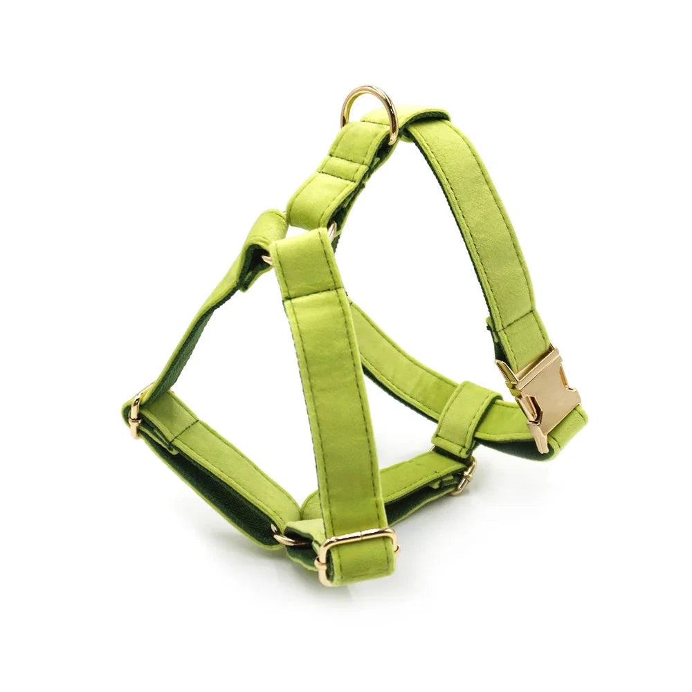Set en Velours Vert Avocat – Harnais, Collier & Laisse avec boucle Dorée | SANEO Pets SANEO Pets