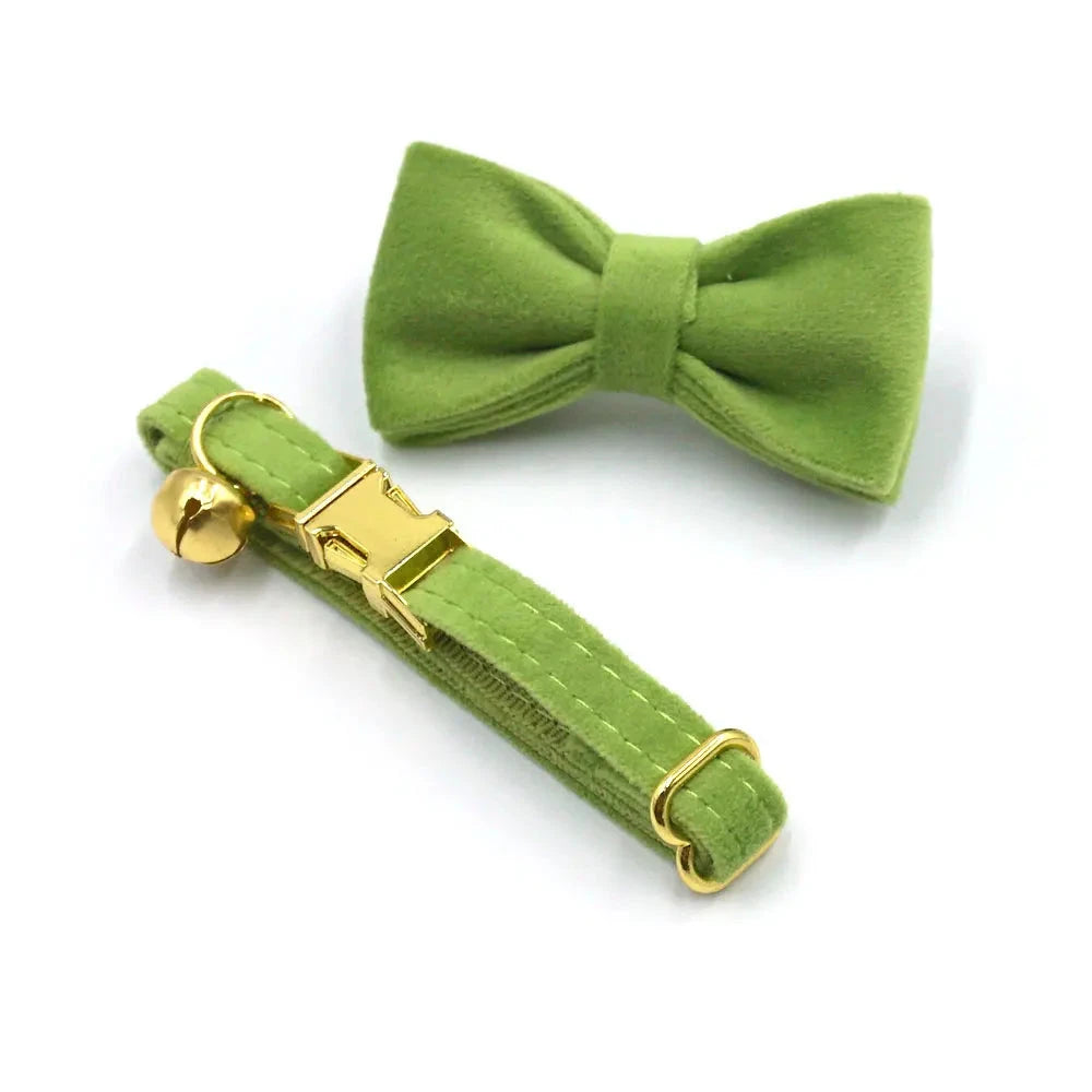 Collier en Velours Vert pour Chat – Élégance, Confort | SANEO Pets SANEO Pets