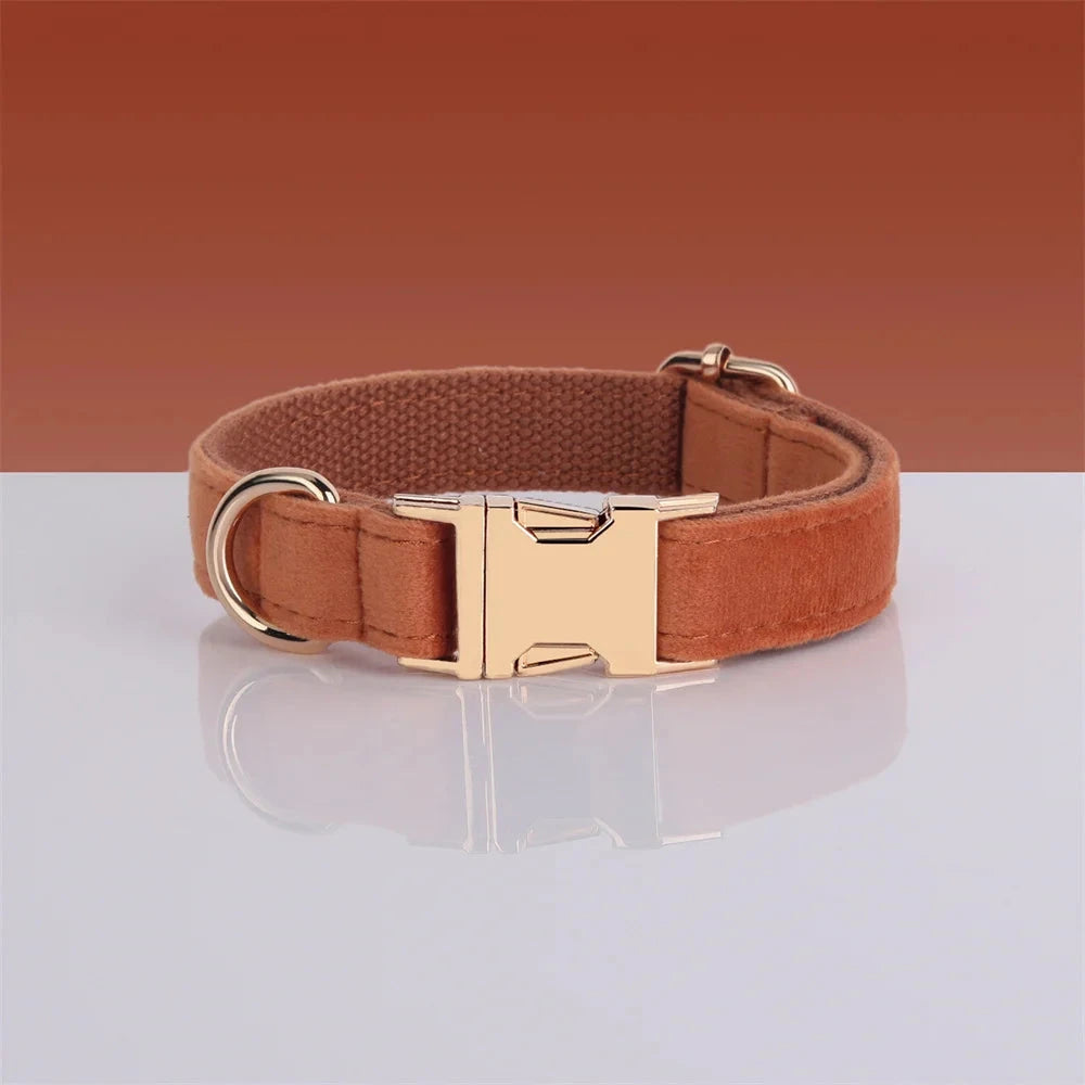 Set en Velours Bronze – Harnais, Collier & Laisse avec boucle Dorée | SANEO Pets SANEO Pets