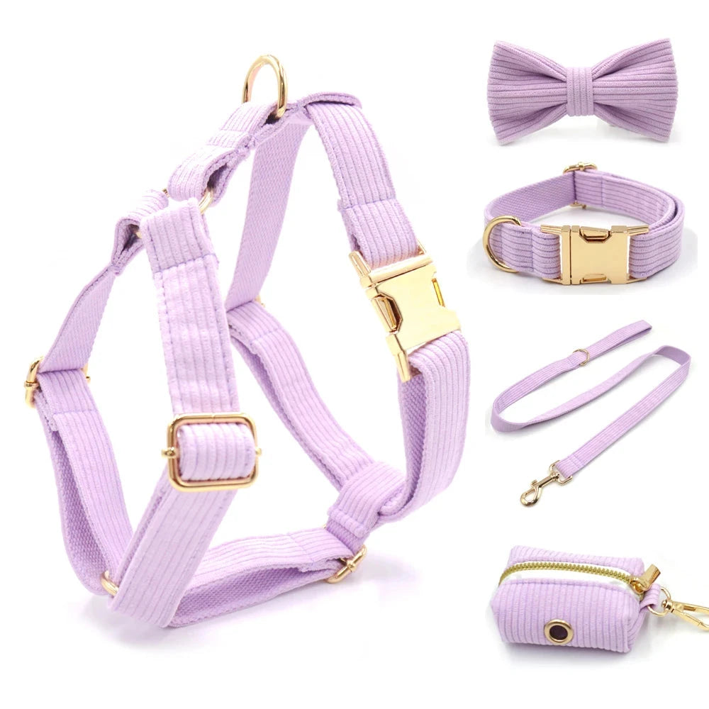 Set en Velours Violet – Harnais, Collier & Laisse avec boucle Dorée | SANEO Pets SANEO Pets