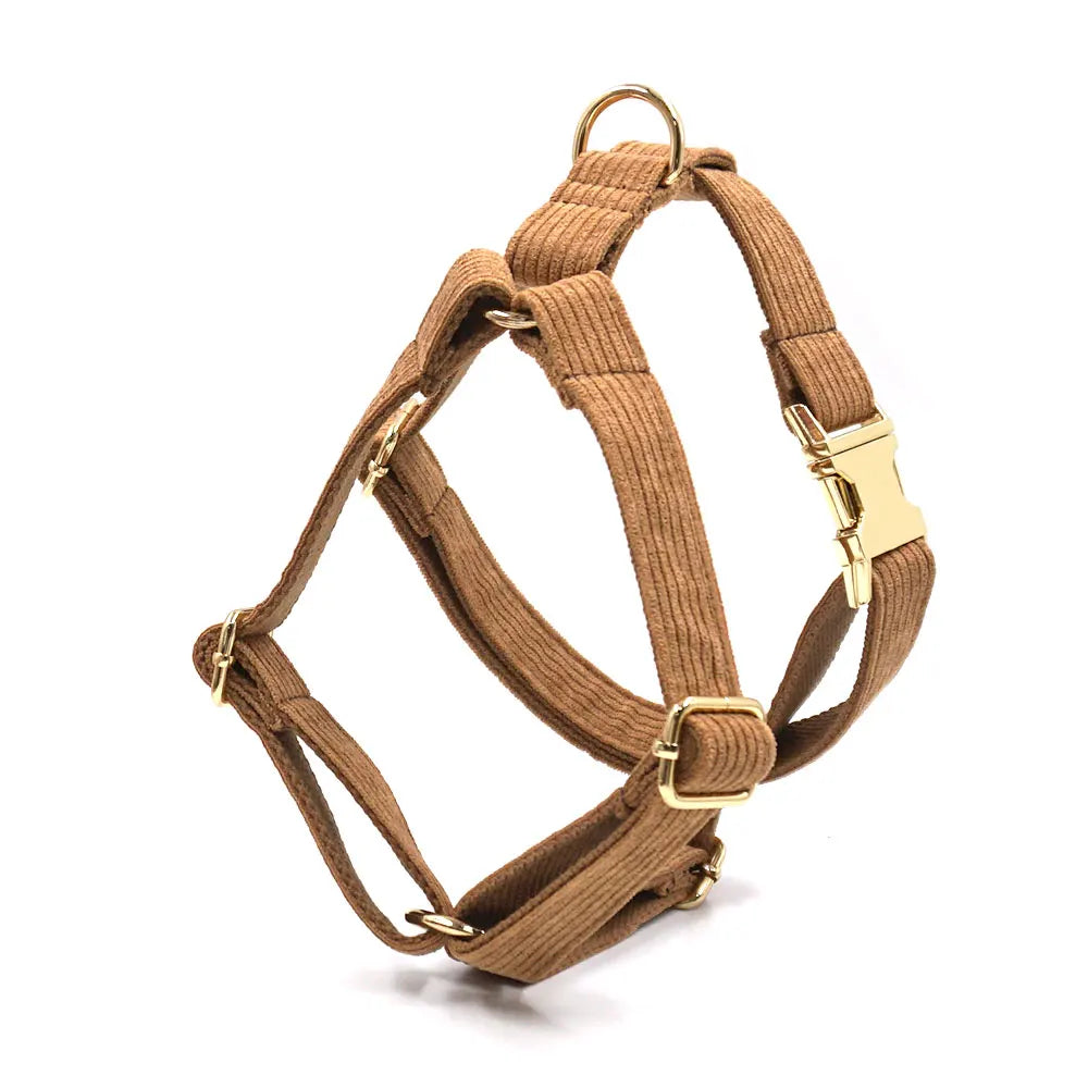 Set Luxe en Velours Marron – Harnais, Collier & Laisse avec boucle Dorée.
