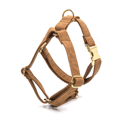 Set Luxe en Velours Marron – Harnais, Collier & Laisse avec boucle Dorée.
