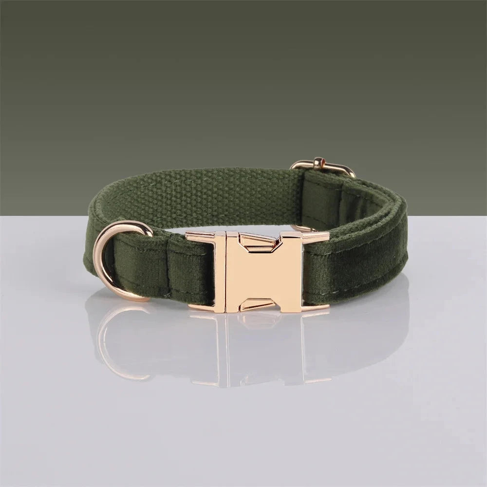 Set en Velours Vert Olive – Harnais, Collier & Laisse avec boucle Dorée | SANEO Pets SANEO Pets