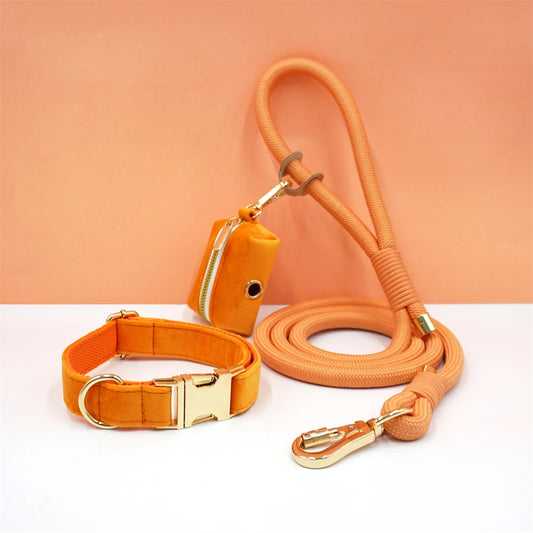 Set 3 Pièces Luxe en Velours Orange – Collier, Laisse & Poop Bag