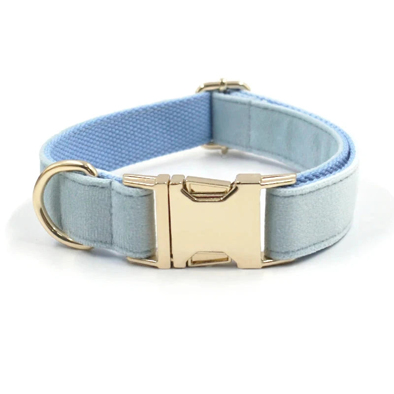 Set en Velours Bleu Ciel – Collier & Laisse avec boucle Dorée | SANEO Pets SANEO Pets