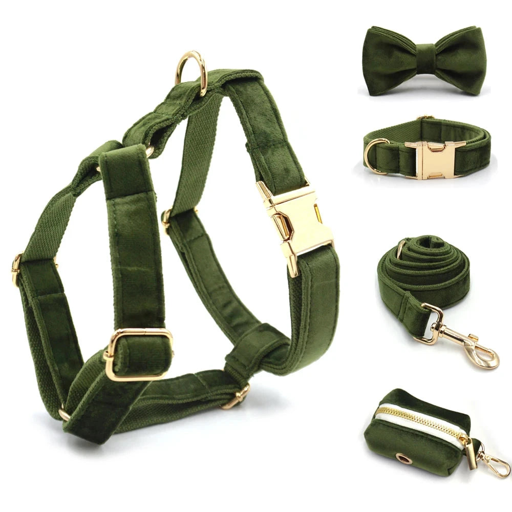 Set en Velours Vert Olive – Harnais, Collier & Laisse avec boucle Dorée | SANEO Pets SANEO Pets